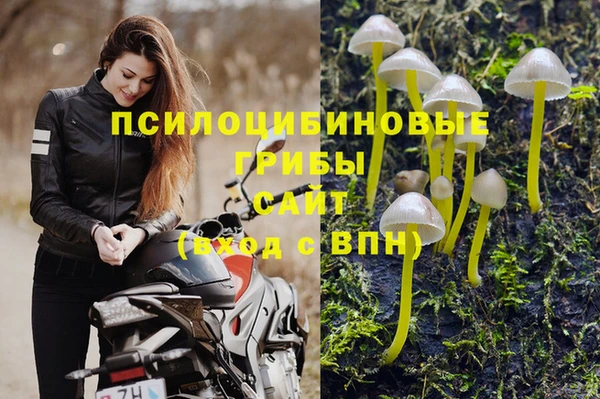 метадон Осинники